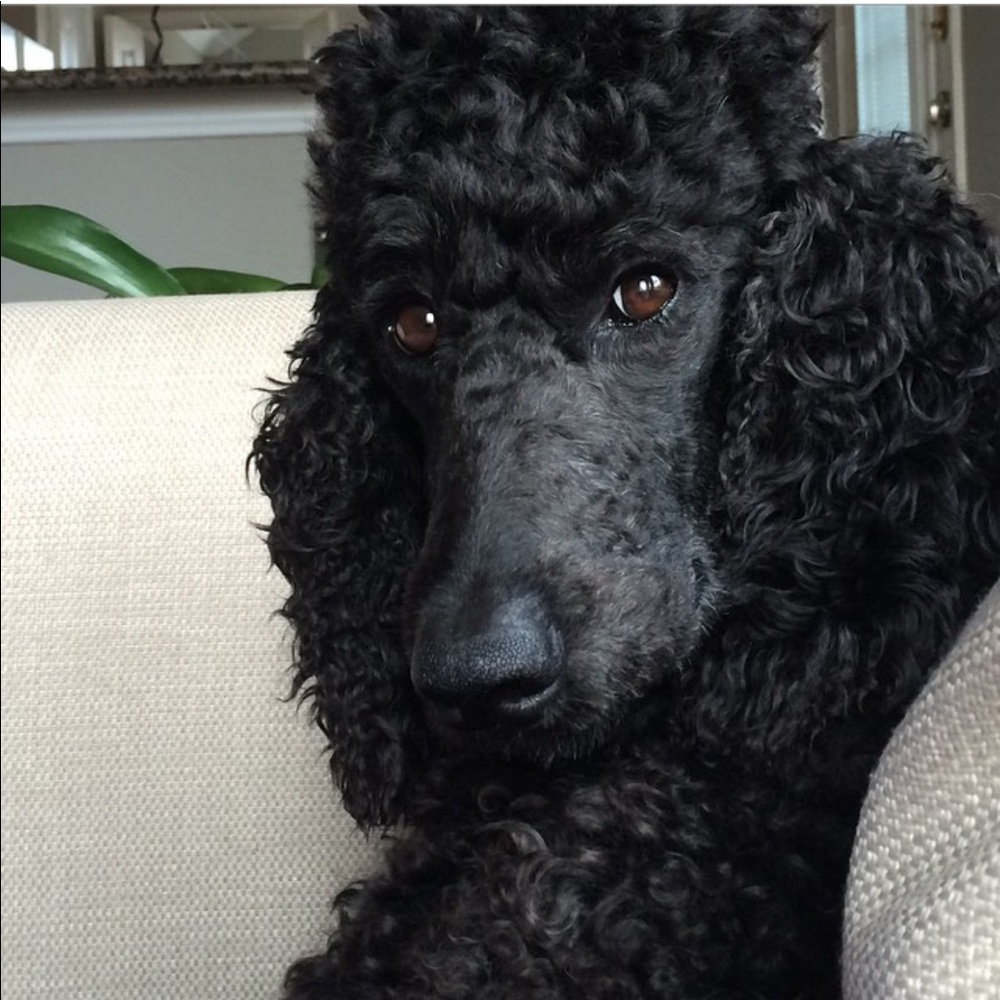 Monet would like to invite 🌷Offer & Bundle